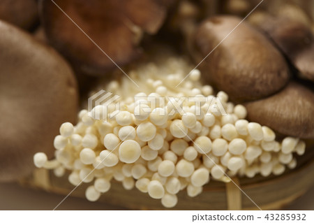 什錦蘑菇 43285932