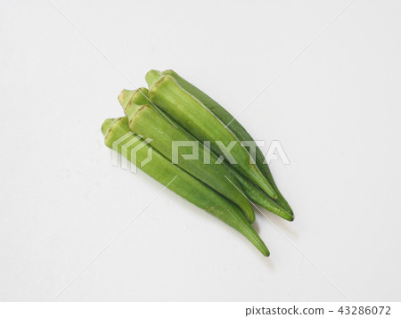 黃秋葵 黃秋葵 43286072