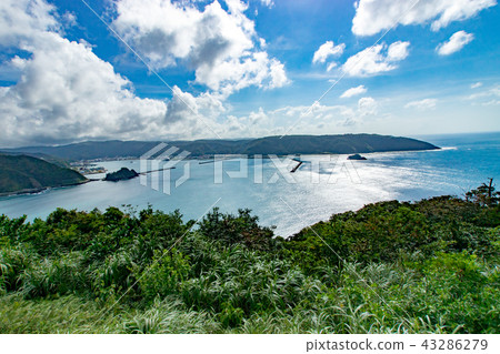 奄美的景觀 43286279