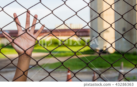 Hand catch on the grille Hand catch on the grille 43286363