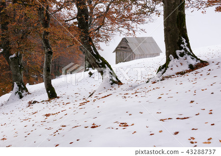 Autumn landscape with the first snow in mountains 43288737