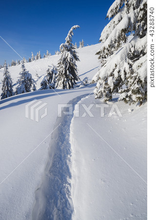 Winter landscape with footpath in the snow 43288740