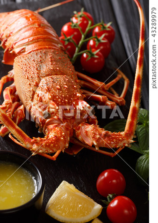 Boiled spiny lobster with tomato, lemon Boiled spiny lobster with tomato, lemon 43289979