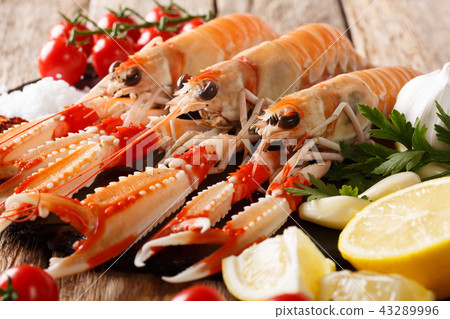 Raw Nephrops norvegicus, Norway lobster 43289996