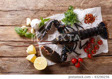 Beautiful seafood uncooked lobster closeup Beautiful seafood uncooked lobster closeup 43290256