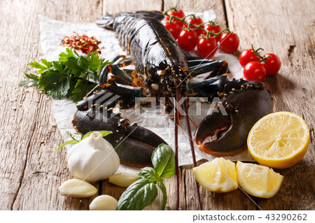 Gourmet food 43290262