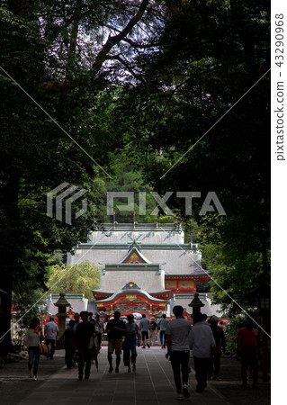 霧島神社 43290968