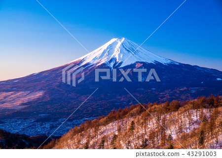 （山梨縣）從三座山的降雪看到的富士山 43291003