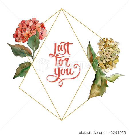 Watercolor red and yellow gortenzia flower. Floral botanical flower. Frame border ornament square. Watercolor red and yellow gortenzia flower. Floral botanical flower. Frame border ornament square. 43291053