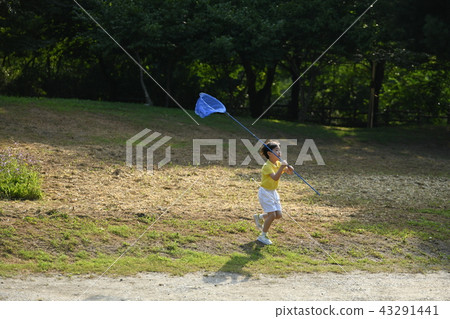 A boy picking insects A boy picking insects 43291441