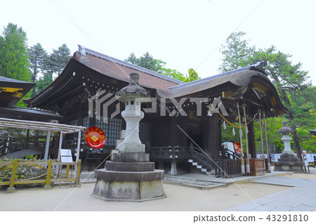 [Yamanashi Prefecture] Kai Takeda Shrine/Worship Hall 43291810