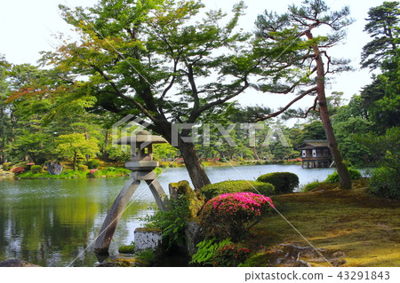 [石川縣]兼六園和輝樹燈籠 43291843