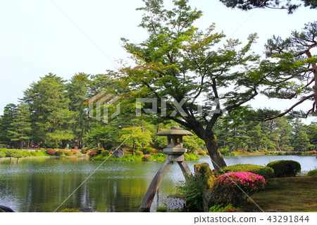[石川縣] ・兼六園·琉球燈籠 43291844