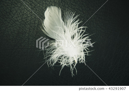Black background Black background 43291907