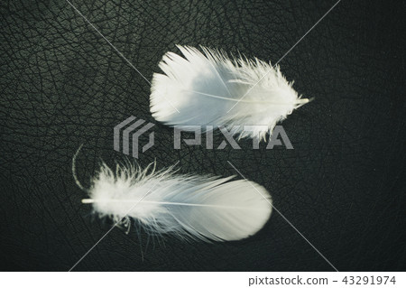 Black background Black background 43291974