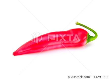 red hot chili pepper isolated on a white background 43291998