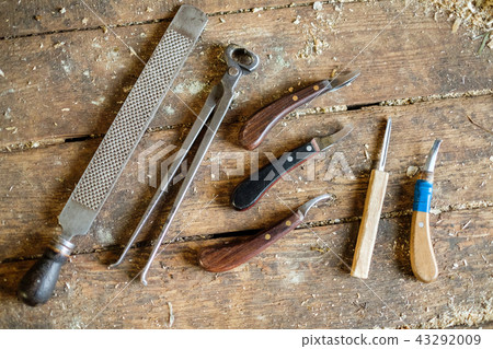 Tools for horseshoe horse hooves. They lie on the wooden floor of the floorboards. Tools for horseshoe horse hooves. They lie on the wooden floor of the floorboards. 43292009