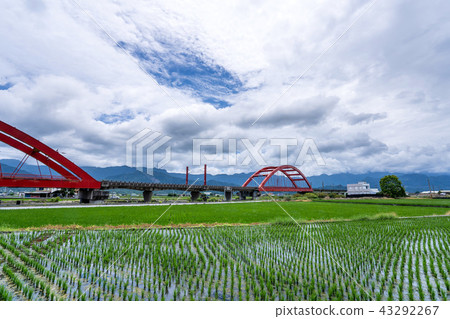 臺灣 花蓮 玉里 客城鐵橋 稻田 Hualien Red Bridge 台湾花蓮 臺灣 花蓮 玉里 客城鐵橋 稻田 Hualien Red Bridge 台湾花蓮 43292267