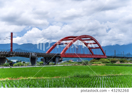 臺灣 花蓮 玉里 客城鐵橋 稻田 Hualien Red Bridge  台湾花蓮 43292268