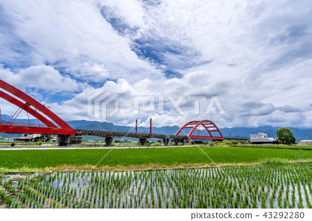 臺灣 花蓮 玉里 客城鐵橋 稻田 Hualien Red Bridge  台湾花蓮 43292280