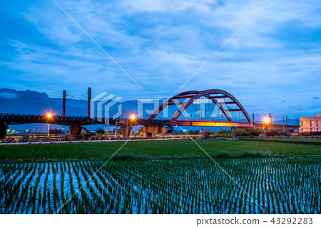 臺灣 花蓮 玉里 客城鐵橋 稻田 Hualien Red Bridge  台湾花蓮 43292283