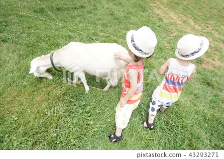 Twins contact experience in Zao Heartland Twins contact experience in Zao Heartland 43293271
