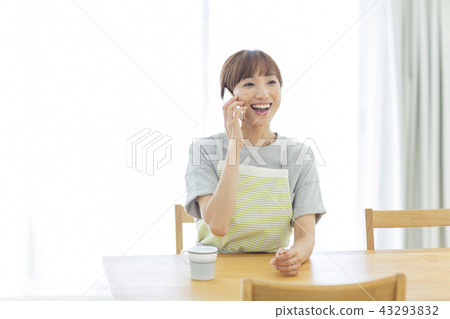 Housewife Housewife 43293832