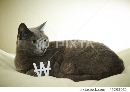 Russian blue and Korean won currency marks 43293981