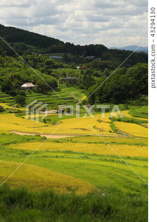 Otsuki sum西Tanada 201808265dm226 43294130