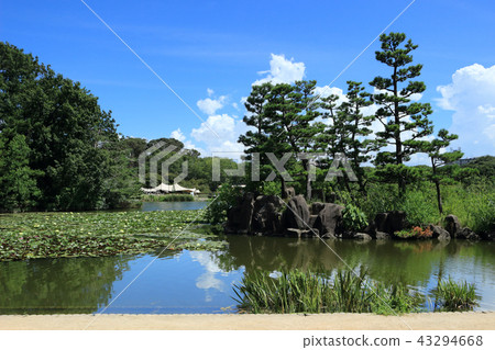 Osaka City Nagai Botanical Garden 43294668