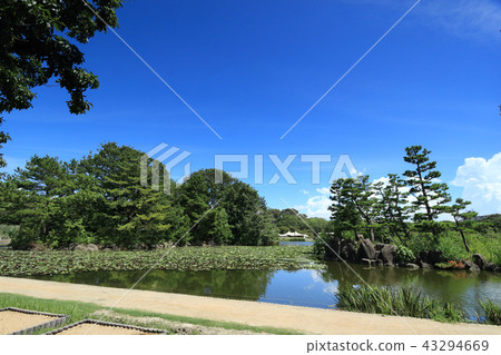Osaka City Nagai Botanical Garden 43294669