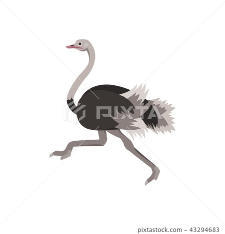 Cartoon Ostrich Bird African Exotic Animal. Vector Cartoon Ostrich Bird African Exotic Animal. Vector 43294683