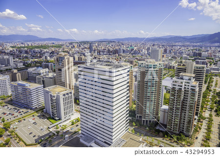 Cityscape of Fukuoka seen from Fukuoka Tower 43294953