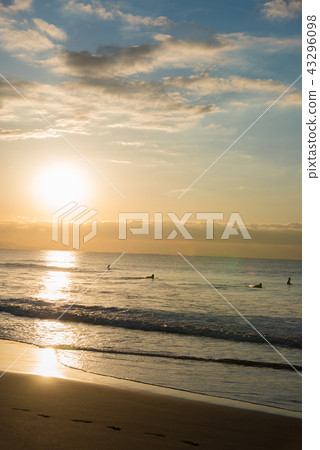 茅崎海岸 茅崎海岸 43296098