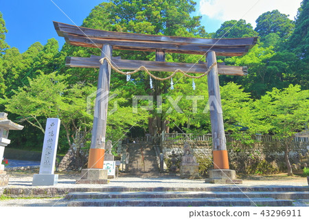 Togakushi Shrine Nakasha Otorii 43296911
