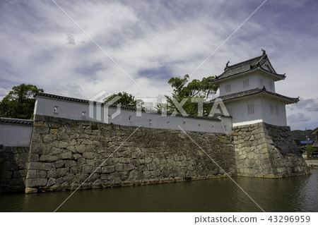 Akojo Castle 43296959