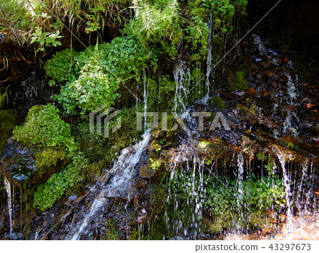 Spring water 43297673