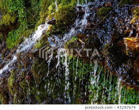 Spring water Spring water 43297674