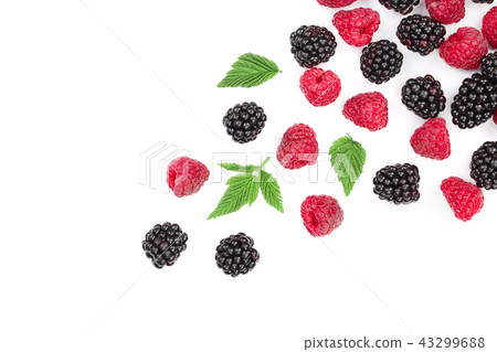 blackberry and raspberry with leaves isolated on white background with copy space for your text. Top blackberry and raspberry with leaves isolated on white background with copy space for your text. Top 43299688