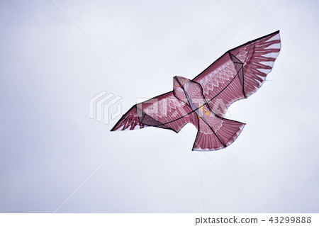 Kite Kite 43299888