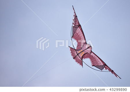 風箏 風箏 43299890