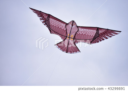 Kite Kite 43299891