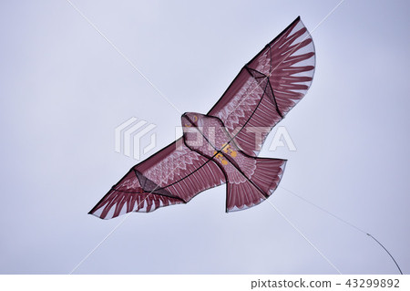 Kite Kite 43299892