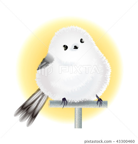 Shimaenaga Shimaenaga 43300460