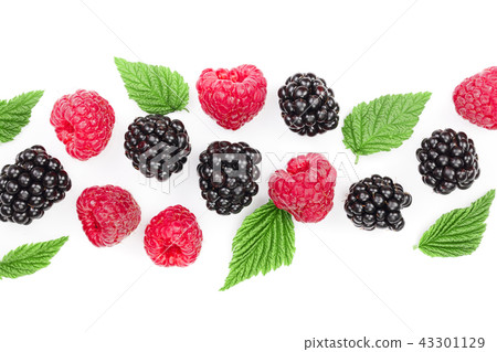 blackberry and raspberry with leaves isolated on white background with copy space for your text. Top blackberry and raspberry with leaves isolated on white background with copy space for your text. Top 43301129