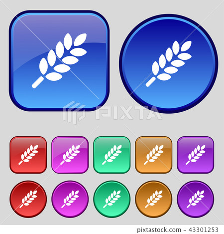 Wheat Ears Icon sign. A set of twelve vintage butt Wheat Ears Icon sign. A set of twelve vintage butt 43301253