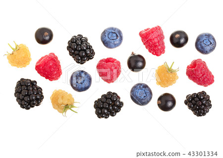 blackberry blueberry raspberry black currant isolated on white background with copy space for your 43301334