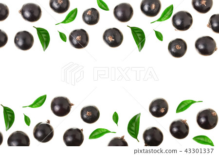 black currant isolated on white background with copy space for your text. Top view. Flat lay pattern 43301337