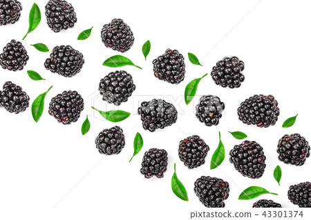 Fresh blackberry isolated on white background with copy space for your text. Top view. Flat lay 43301374