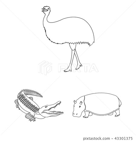 Different animals outline icons in set collection for design. Bird, predator and herbivore vector 43301375